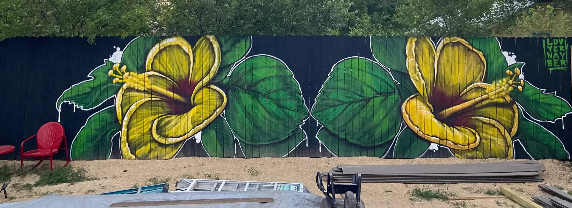 mural by aaron darling | aaron darling mural artist | lago vista tx