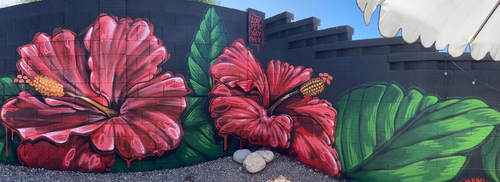 mural by aaron darling | aaron darling mural artist | lago vista tx