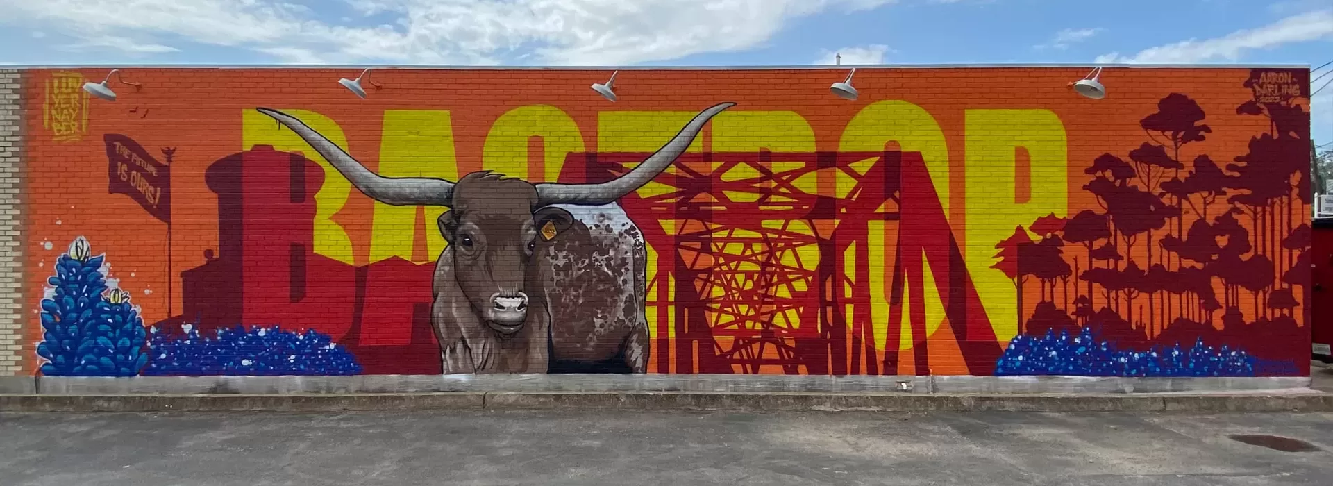 mural by aaron darling | aaron darling mural artist | lago vista tx